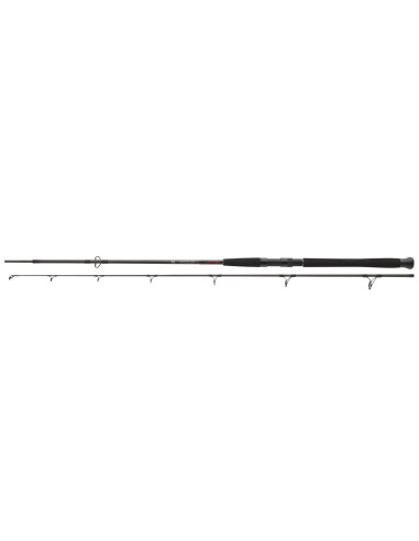 Lanseta Daiwa Exceler Catfish Spin, 2.70m, 185g, 2buc