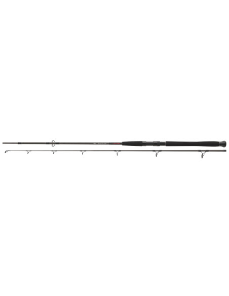 Lanseta Daiwa Exceler Catfish Spin, 2.70m, 185g, 2buc