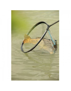 Cap Minciog Rive Carp Master Specimen Landing Net, 60cm 2