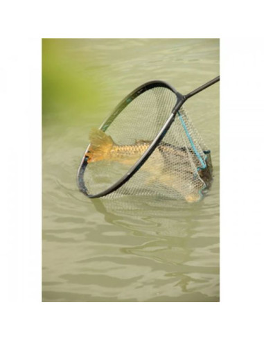 Cap Minciog Rive Carp Master Specimen Landing Net, 60cm