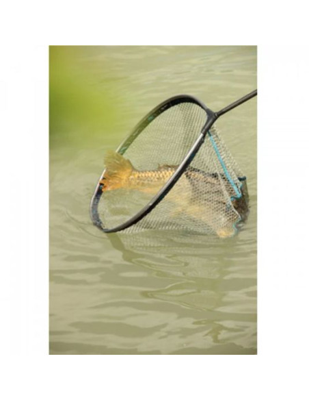 Cap Minciog Rive Carp Master Specimen Landing Net, 60cm Cap Minciog Rive Carp Master Specimen Landing Net, 60cm