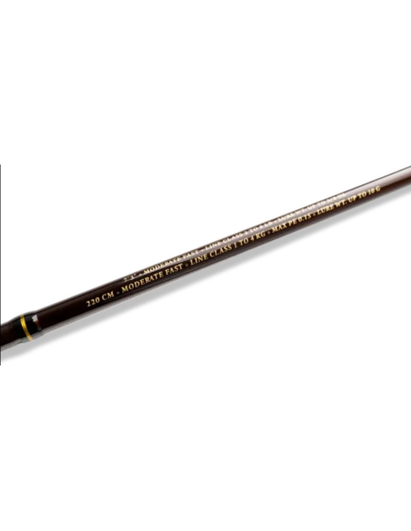 Lanseta Mustad Detector L J&S, 2.20m, 10g, 2buc