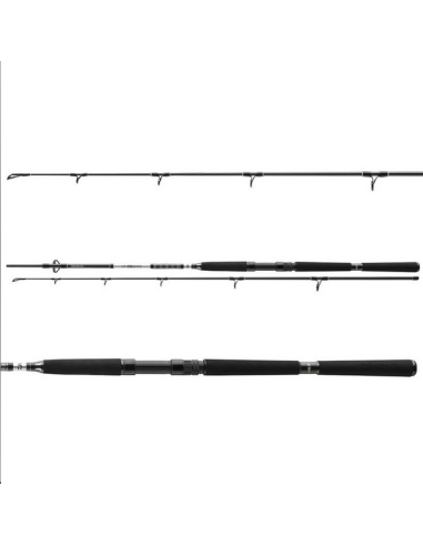 Lanseta Daiwa BG Offshore Pilk, 2.10m, 40-125g, 2buc