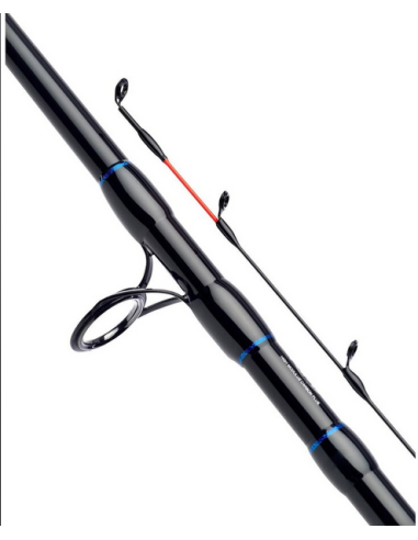 Lanseta Daiwa N‘Zon Extension Feeder, 3.96m, 120g, 2+2buc