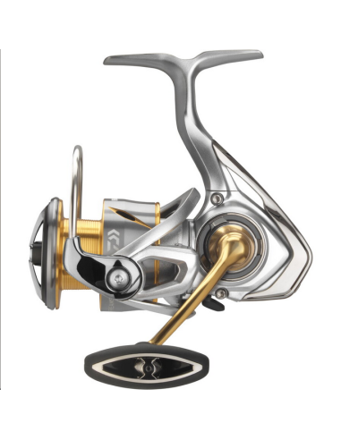 Mulineta Daiwa Freams LT New