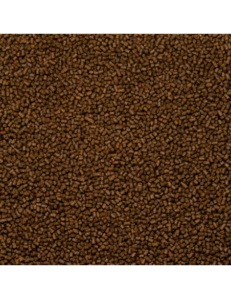 Pelete Senzor Planet Top Feeder Pellets Fumigena, Capsuna, 2.5mm, 1kg Pelete Senzor Planet Top Feeder Pellets Fumigena, Capsuna, 2.5mm, 1kg