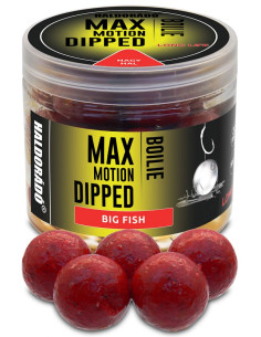 Boilies De Carlig Haldorado Max Motion Boilie Dipped, Big Fish, 20mm, 100g