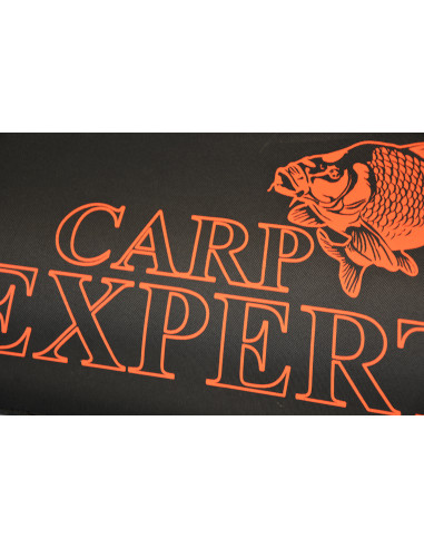 Husa Rigida Carp Expert, 2 Compartimente