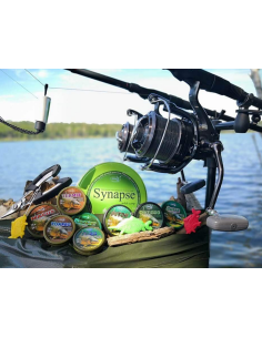 Fir Monofilament Katran Synapse Wild Carp 0.365 mm 800m 2
