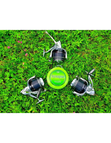 Fir Monofilament Katran Synapse Wild Carp, 800m