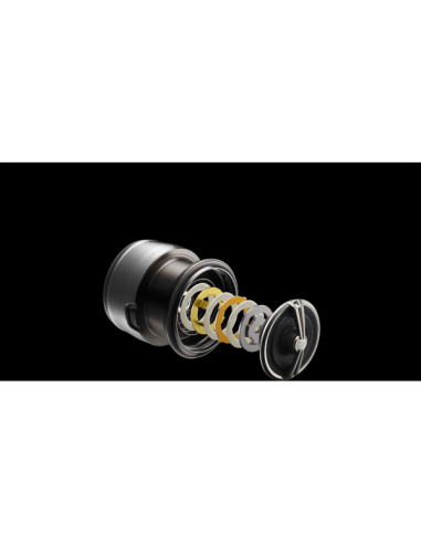 Mulineta Daiwa Certate FC LT