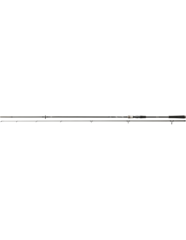 Lanseta Daiwa Exceler Spin, 2.60m, 20-40g, 2buc