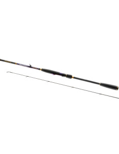 Lanseta Favorite Skyline NEW SKYA Fast, 2.54m, 20-60g, 2buc