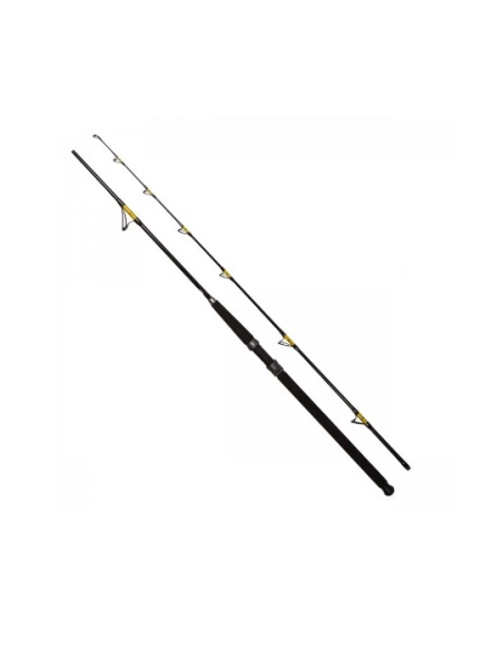 Lanseta Fl Catfish Passion Pro, 2.10m, 300-600g, 2buc Lanseta Fl Catfish Passion Pro, 2.10m, 300-600g, 2buc