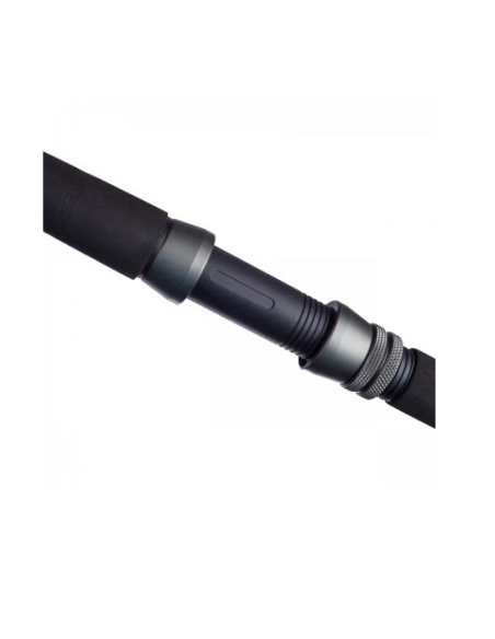 Lanseta Fl Catfish Passion Pro, 2.40m, 300-600g, 2buc Lanseta Fl Catfish Passion Pro, 2.40m, 300-600g, 2buc