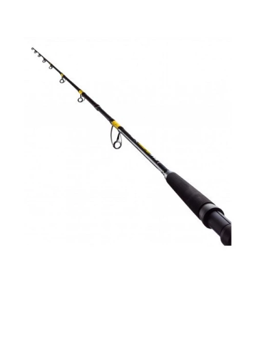 Lanseta Fl Catfish Passion Pro, 2.40m, 300-600g, 2buc