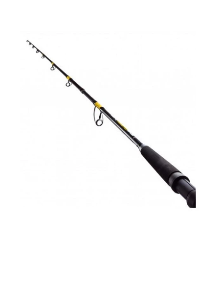 Lanseta Fl Catfish Passion Pro, 2.40m, 300-600g, 2buc Lanseta Fl Catfish Passion Pro, 2.40m, 300-600g, 2buc