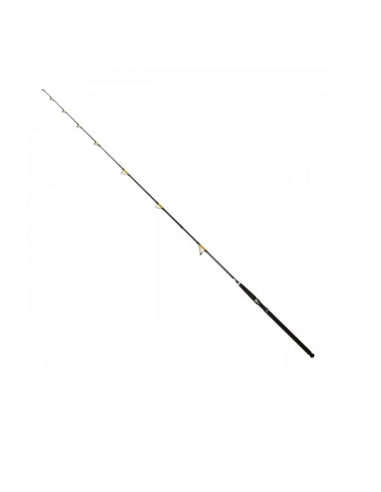Lanseta Fl Catfish Passion Pro, 2.40m, 300-600g, 2buc