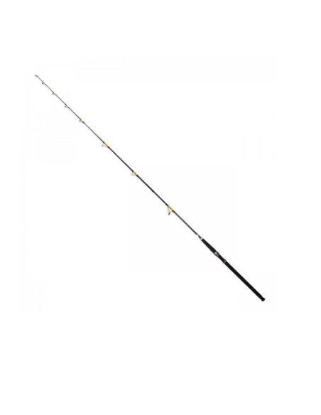 Lanseta Fl Catfish Passion Pro, 2.40m, 300-600g, 2buc Lanseta Fl Catfish Passion Pro, 2.40m, 300-600g, 2buc