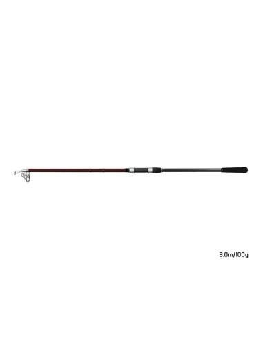 Lanseta Delphin Thunder GenerationX, 3m, 100g