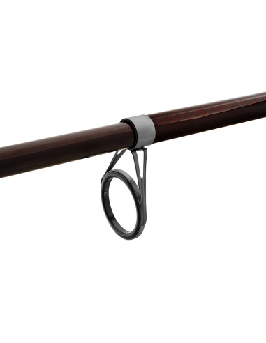 Lanseta Delphin Thunder GenerationX, 3m, 100g