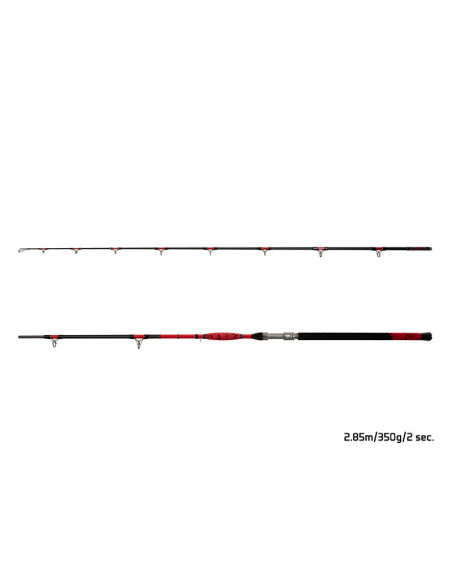 Lanseta Delphin Danger Catfish, 2.85m, 350g, 2buc Lanseta Delphin Danger Catfish, 2.85m, 350g, 2buc