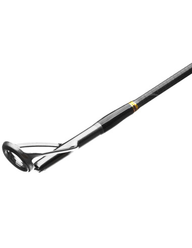 Lanseta Favorite Skyline Extra Fast, 2.29m, 10-30g, 2buc
