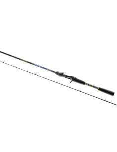 Lanseta Favorite Skyline Extra Fast, 2.29m, 10-30g, 2buc