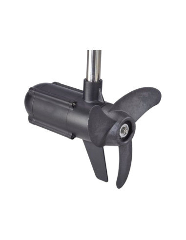 Motor Electric Haswing Protruar 3 HP 110lb Brushless