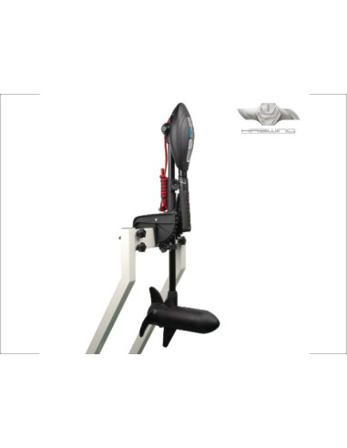 Motor Electric Haswing Osapian 40 lbs