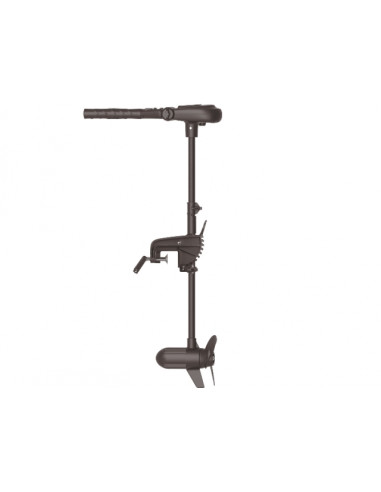 Motor Electric Haswing Protruar 1 HP 65lb Brushless