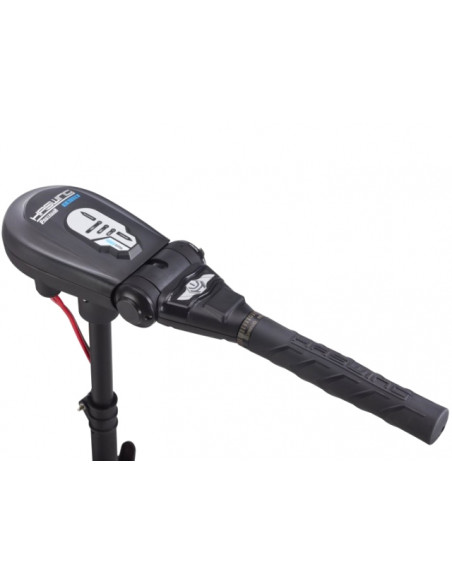 Motor Electric Haswing Protruar 1 HP 65lb Brushless Motor Electric Haswing Protruar 1 HP 65lb Brushless