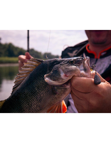 Grub FishUp Vipo, Green Pumpkin Red Black, 5.2cm, 10buc/plic
