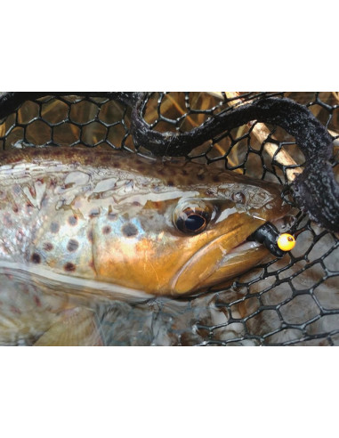 Grub FishUp Trout Series Crawfish Yochu, Cheese, 4.3cm, 8buc/plic