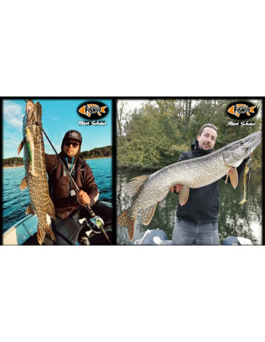 Shad FishUp RAM Shad, 352 Blue Shiner Chart, 20.3cm, 60g