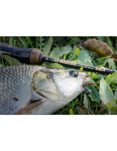 Grub FishUp Trout Series Tanta Cheese, Coffee Milk Light Olive, 6.1cm, 8buc/plic