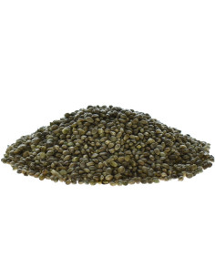 Seminte Canepa Select Bais Natural Hemp Seeds, 5kg