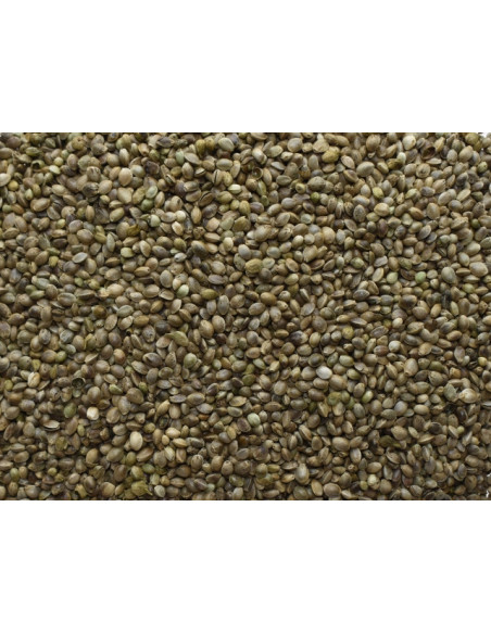 Seminte Canepa Select Bais Natural Hemp Seeds, 5kg Seminte Canepa Select Bais Natural Hemp Seeds, 5kg