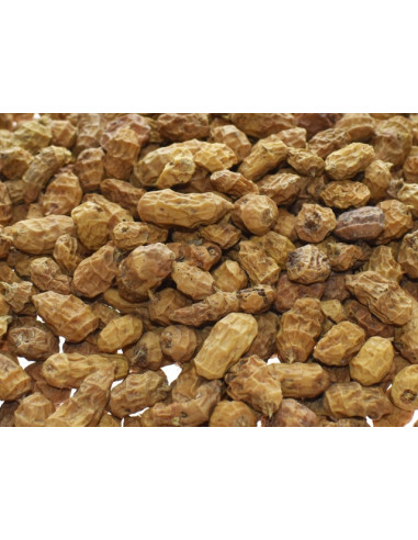 Seminte Select Bais Mixed Sizes Tiger Nuts, 5kg