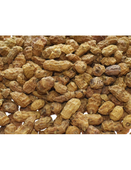Seminte Select Bais Mixed Sizes Tiger Nuts, 5kg Seminte Select Bais Mixed Sizes Tiger Nuts, 5kg