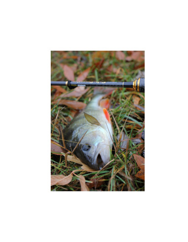 Grub FishUp Fancy Grub, Flo Chartreuse Green, 6.3cm, 10buc/plic