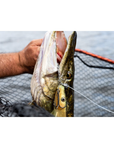 Shad Blackbay Blackshad, Spicy Bream, 20cm, 55g