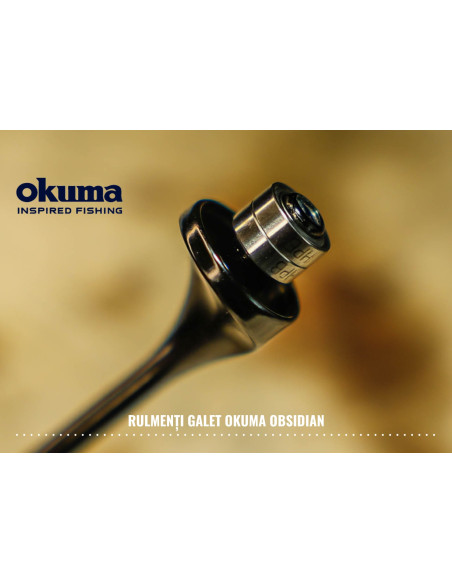 Mulineta Okuma Obsidian 12000 Mulineta Okuma Obsidian 12000