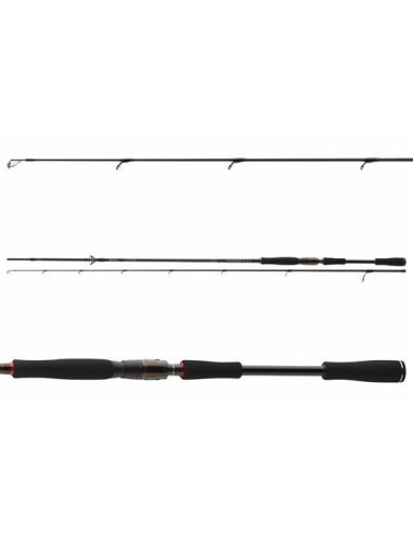 Lanseta Daiwa Tournament AGS, 2.70m, 14-42g, 2buc