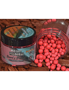 Wafters WLC Carp Wafters Round & Dumbell, Strawberry, 30g