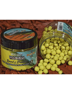 Wafters WLC Carp Wafters Round & Dumbell, Pineapple & N-butyric, 30g