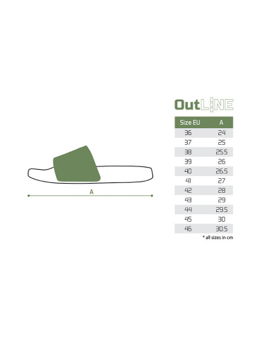 Papuci Slide Delphin OutLINE CARP