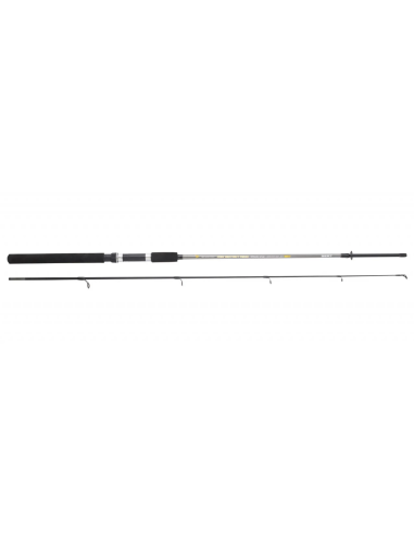 Lanseta Sert Fish Instinct FW20, Spincast, 2.40m, 20-50g, 2buc