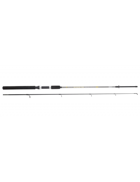 Lanseta Sert Fish Instinct FW20, Spincast, 2.40m, 20-50g, 2buc