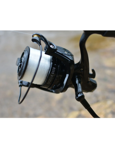 Mulineta Prowess Excelia 6008 FD